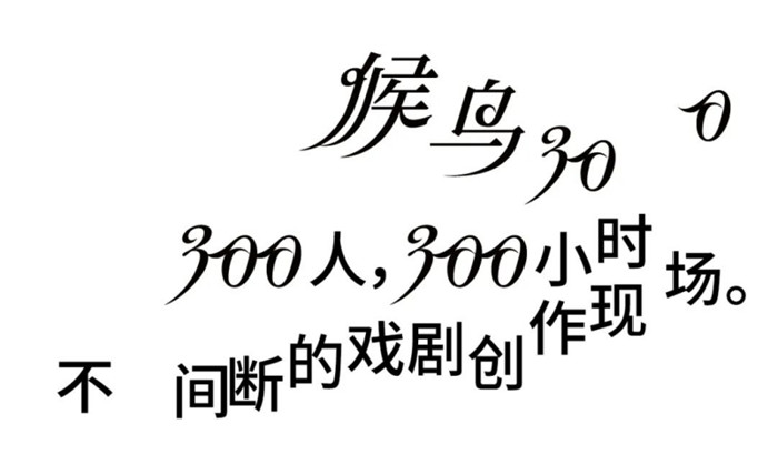 候鸟300稿件243.jpg