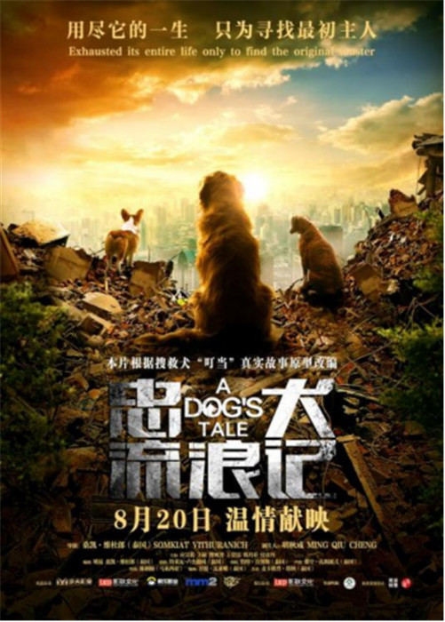 v4搜救犬叮当真实原型改编  《忠犬流浪记》 8月20日催泪上映(1)(1)(1)768.jpg