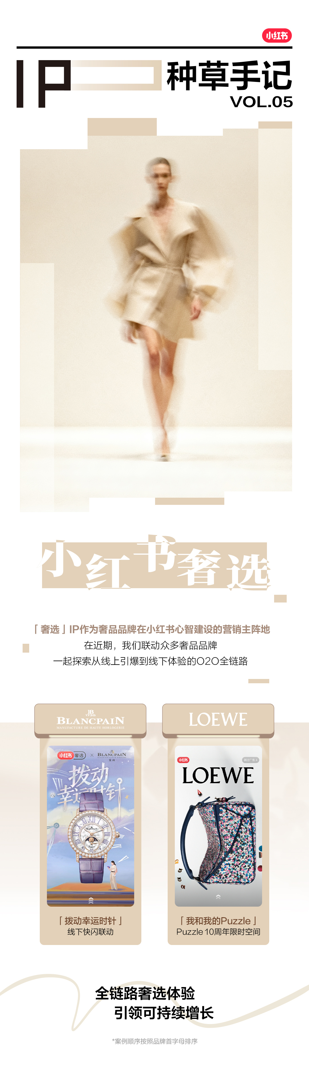 IP奢侈品新_01.jpg