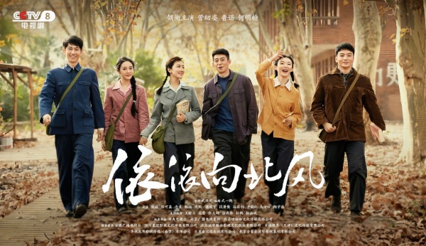 爆款剧《依依向北风》网友真实口碑出炉