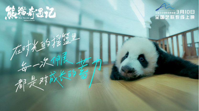 《熊猫奇遇记》大电影定档稿件550.png